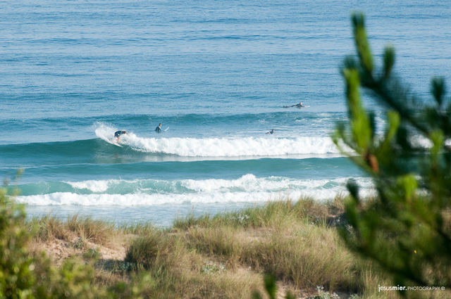 Madrugando en la Playa de Somo - Surfing