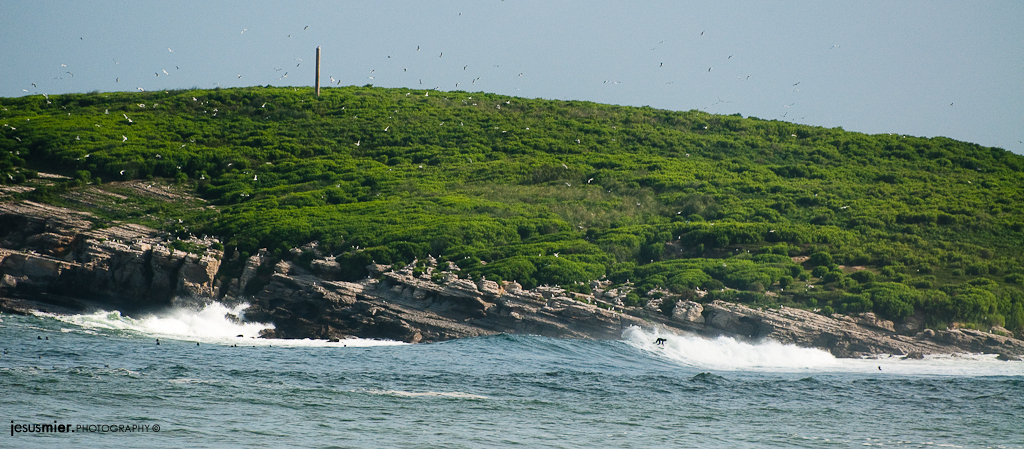 Isla de Santa Marina - Cantabria